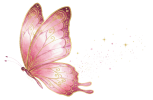 mariposa-rosada-01