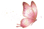 mariposa-rosada-02