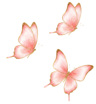 mariposas_vanessa_01